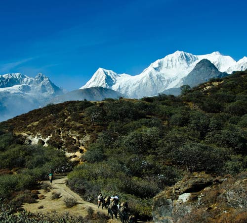 Sikkim Himalayan Heritage