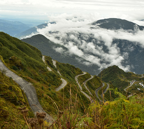 Sikkim - Rhododendron Tour