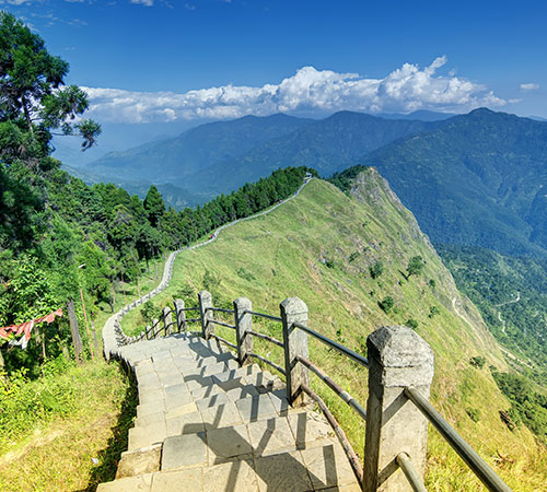 Sikkim - Bird Watching Tour