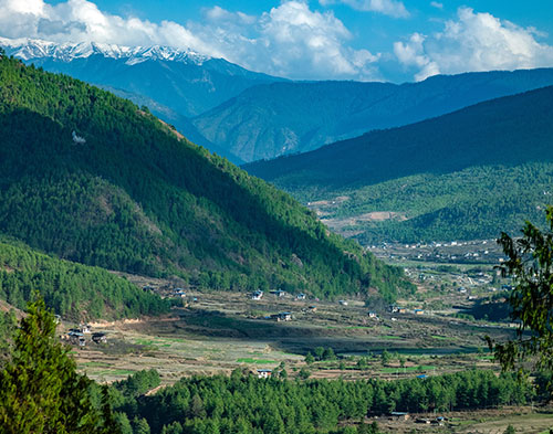 history of bhutan